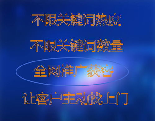 云盟螞蟻?lái)?xiàng)目市場(chǎng)營(yíng)銷策劃方案 創(chuàng)新驅(qū)動(dòng)，精準(zhǔn)觸達(dá)